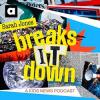 Sarah Jones Breaks it Down podcast cover